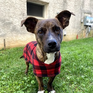 Fundraising Page: Ken Jennings Hagan PAC ALUM